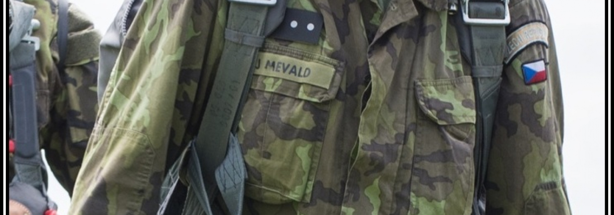 mevka_-_1.jpg