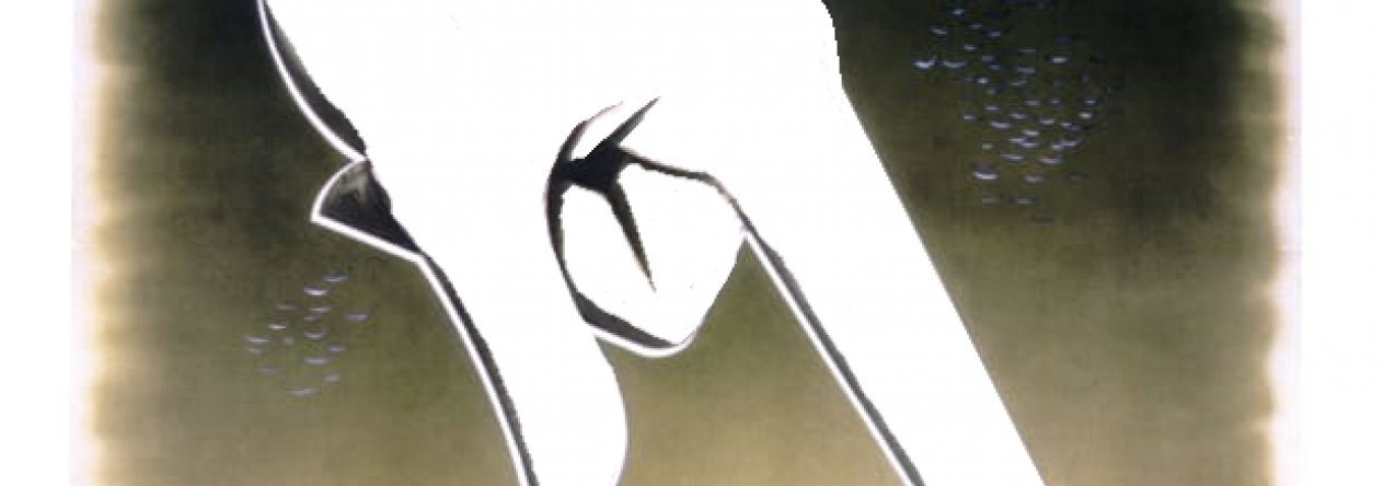 prst.png