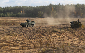 cesky_pandur_a_nemecky_leopard.jpg